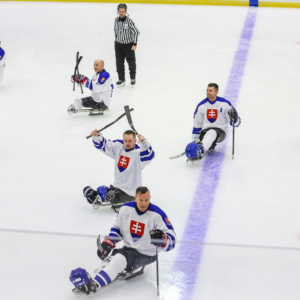 Po trápení s Tre Kronor povinné tri body 