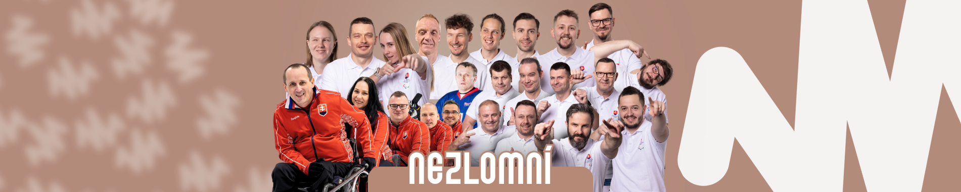 Slovenský paralympijsky výbor