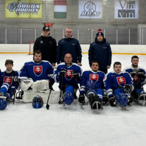 Previerka nových tvári v Budapešti