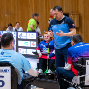 Belasé motýle zbierali skúsenosti v Plzni